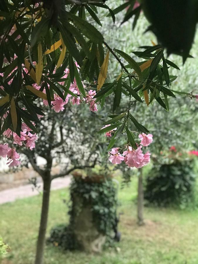 La Casa Di Claudia Villa Florence Ngoại thất bức ảnh