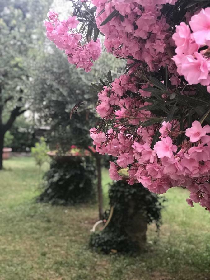 La Casa Di Claudia Villa Florence Ngoại thất bức ảnh